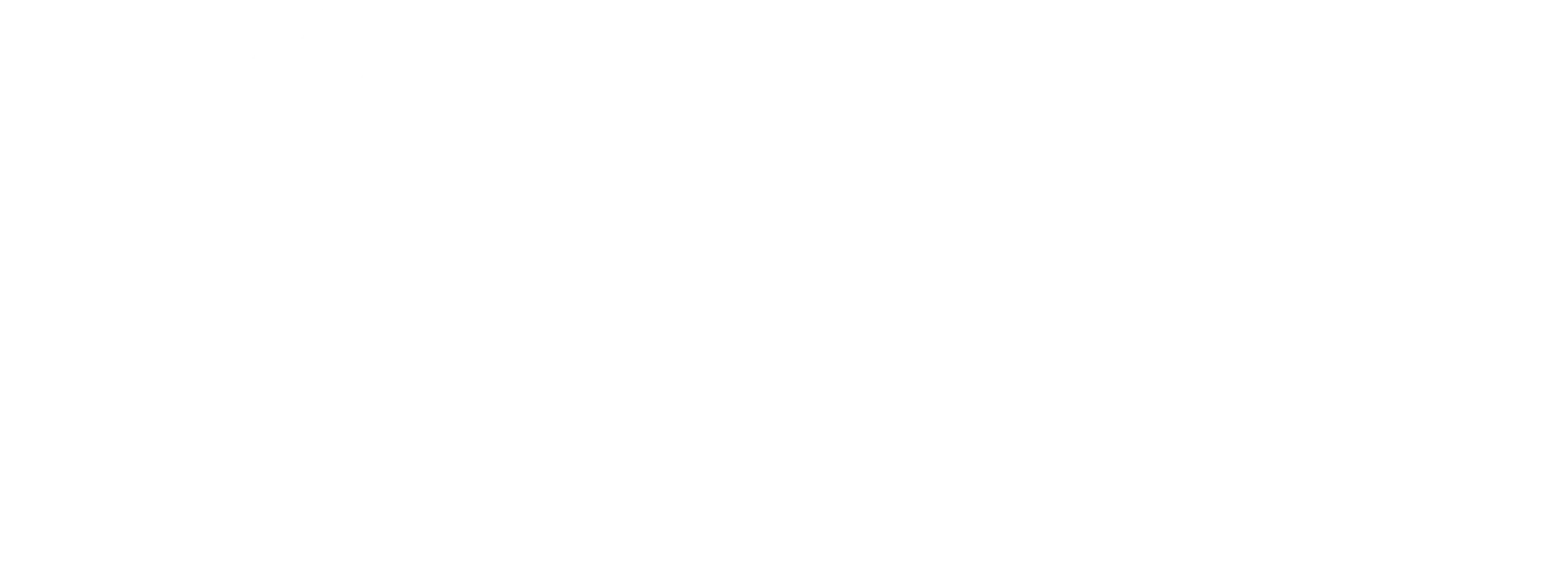 main logo